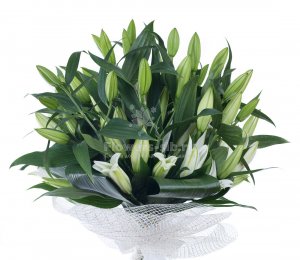 Bouquet of 15 lilies